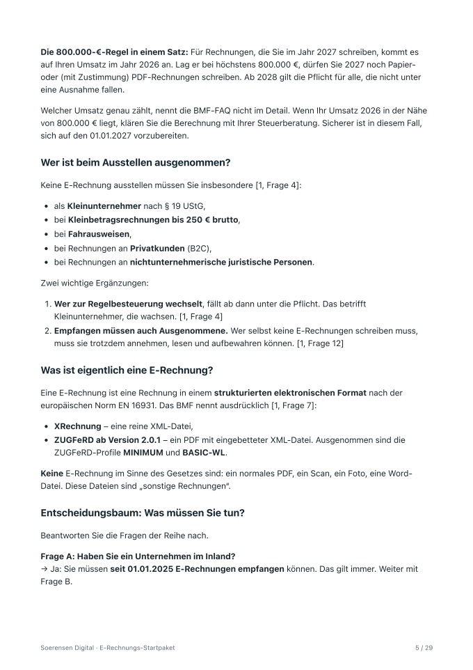 Leitfaden-Seite aus Kapitel 1 mit Ausnahmen, Formaten und Beginn des Entscheidungsbaums